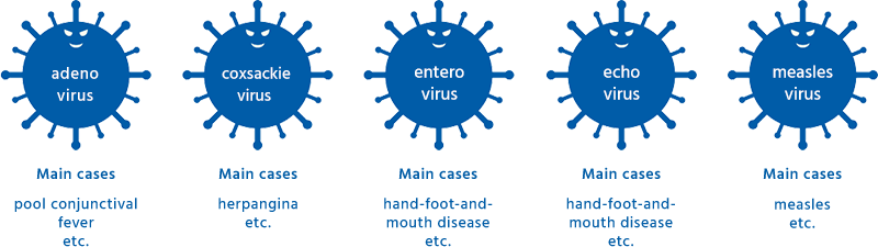 adeno virus | Main cases: pool conjunctival fever etc. / coxsackievirus | Main cases: herpangina etc. / echovirus | Main cases: hand-foot-and-mouth disease etc. / entero virus | Main cases: hand-foot-and-mouth disease etc. / measles virus | Main cases: measles etc.