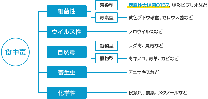 食中毒の主な原因の種類