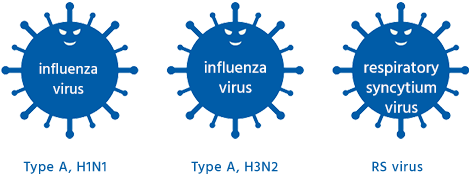 influenza virus: Type A, H1N1 | influenza virus: Type A, H3N2 | respiratory syncytium virus: RS virus