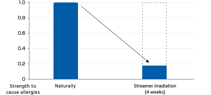 Strength to cause allergies | Naturally and Streamer irradiation (4 weeks)