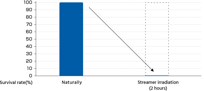Demonstration of the suppression against Moraxella bacterium Bacillus | Naturally and Streamer irradiation (2 hours)