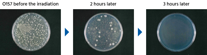 O157 (Operation of one Streamer unit) | O157 before the irradiation, 2 hours later, 3 hours later