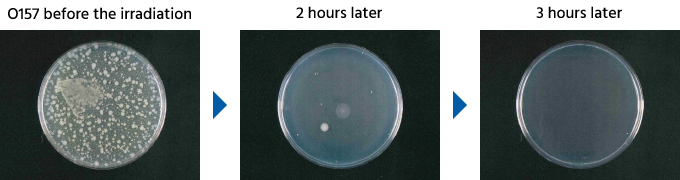 O157 (Operation of two Streamer units) | O157 before the irradiation, 2 hours later, 3 hours later