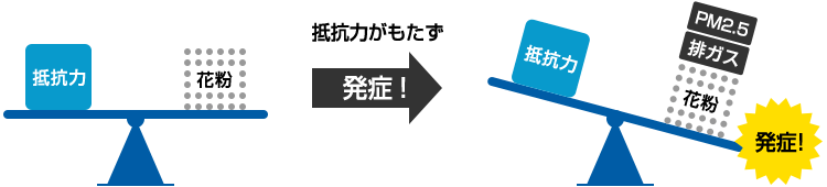 花粉症の発症のたとえイメージ